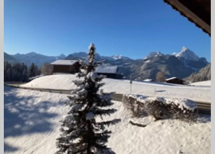Chalet Soldanella 10 Guests Gstaad