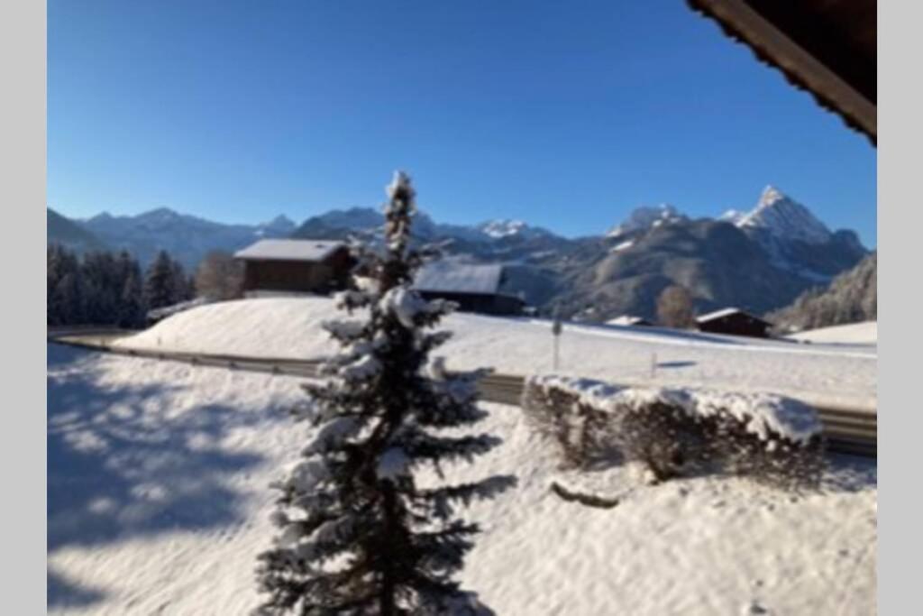 Chalet Soldanella 10 Guests